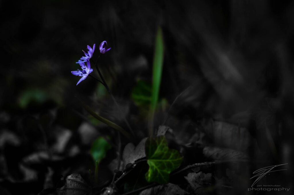 Out of the Dark