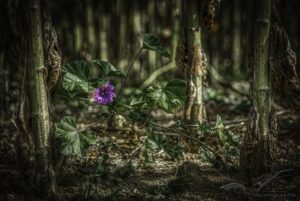 Sheltered