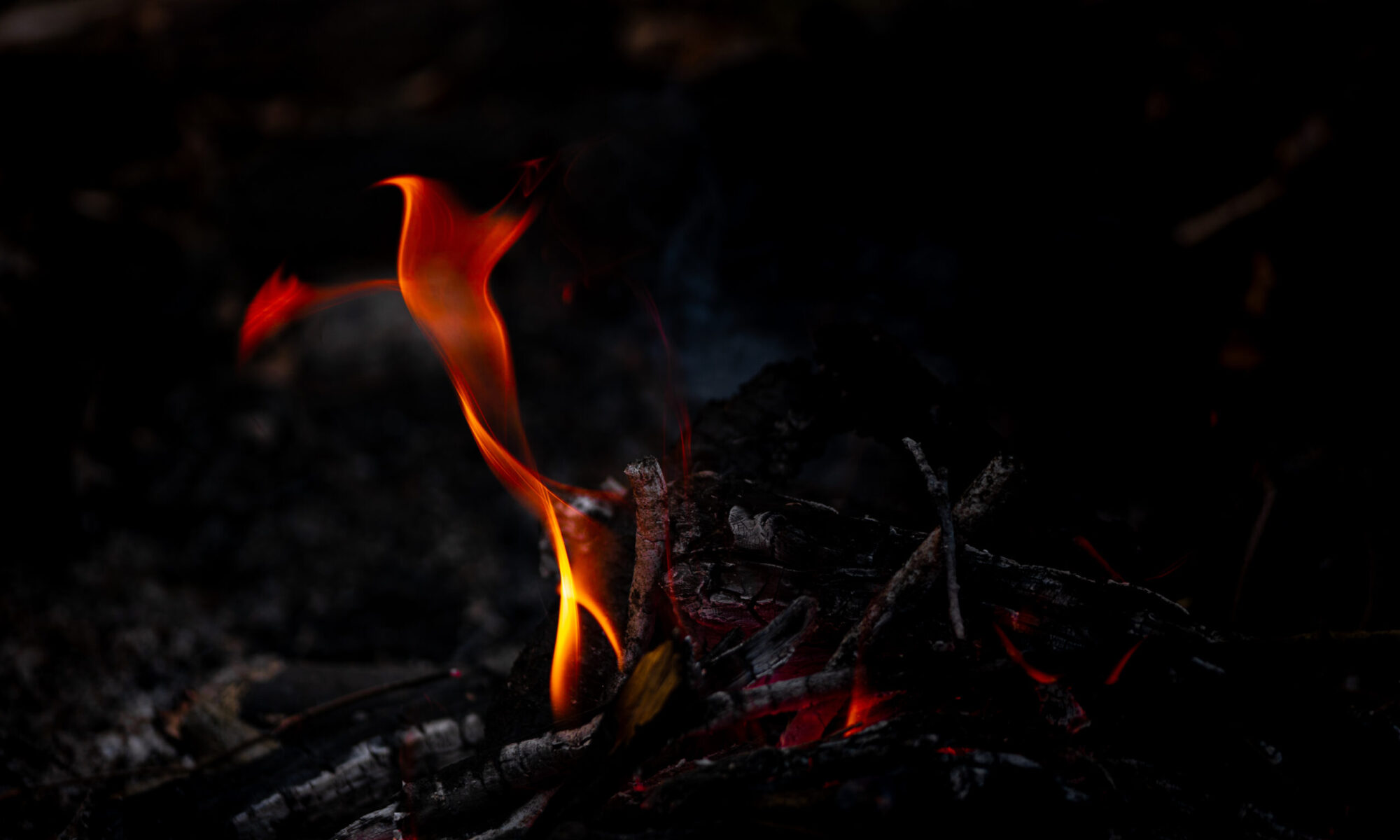 Phoenix A flame from a wooden fire during outdoor grilling.